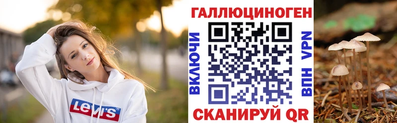 Псилоцибиновые грибы прущие грибы  Кандалакша 