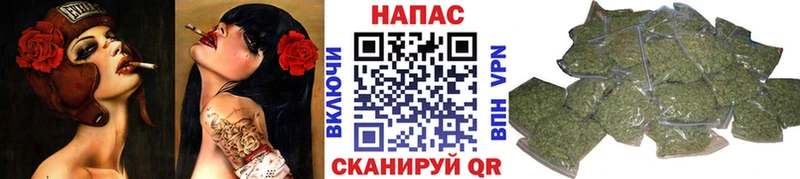 Бошки Шишки White Widow  Кандалакша 